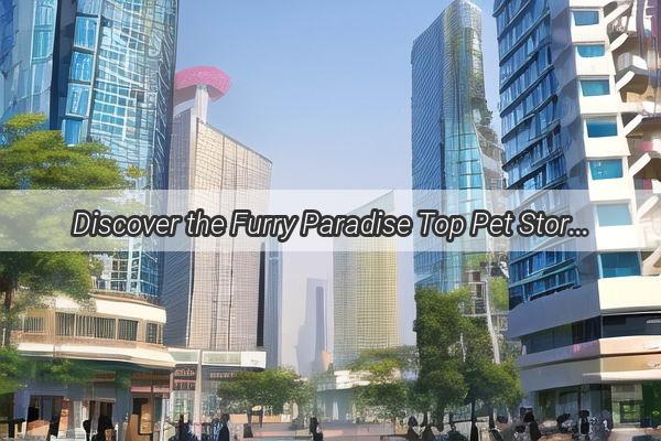 Discover the Furry Paradise Top Pet Stores in Guangzhou for Your FourLegged Friends